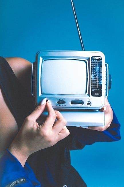 seiki tv owners manual
