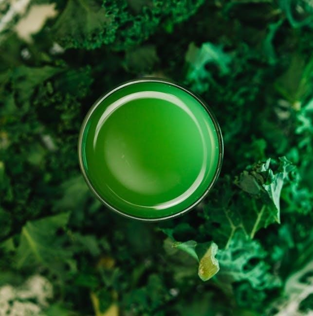 juice from the raw instructions