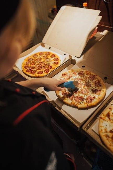 uuni pizza oven instructions